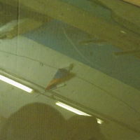 Стекло двери передней правой на Kia Ceed 2012>