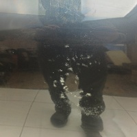 Дверь задняя левая на Kia Sorento 3 Prime UM 2015-2020