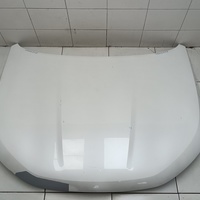 Капот на Haval Jolion 2021>