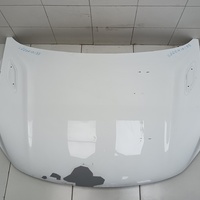 Капот на Geely Coolray 2019>