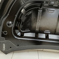 Капот на Exeed TXL M32T 2020>