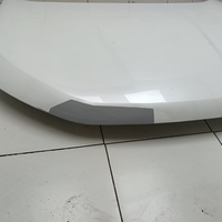 Капот на Haval Jolion 2021>