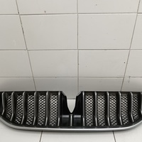 Решетка радиатора на Voyah Free 2021>