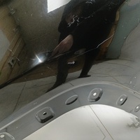 Крыло переднее левое на JAC JS4 2020> / Москвич 3 2022>