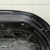 Капот на Exeed LX T1C 2019>