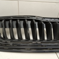 Решетка радиатора на Skoda Rapid 2 2020>