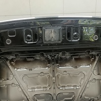 Капот на Tank 500 2022>