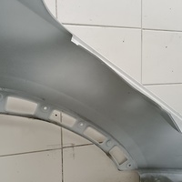 Крыло переднее левое на Exeed LX T1C 2019>