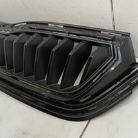 Решетка радиатора на Skoda Rapid 2 2020>