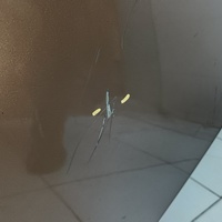 Дверь задняя левая на Volvo XC60 2008-2017