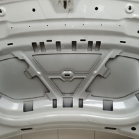Капот на VW Tiguan 2 2017>