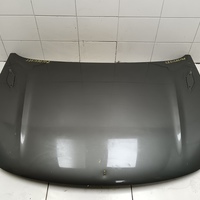 Капот на Geely Coolray 2019>