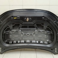 Капот на Exeed LX T1C 2019>