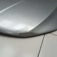 Капот на Belgee X50 2019> / Geely Coolray 2019>