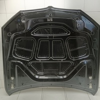 Капот на BMW 5 серия G30 2017>