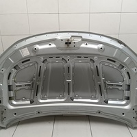 Капот на Belgee X50 2019> / Geely Coolray 2019>