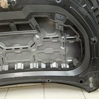 Капот на Exeed LX T1C 2019>