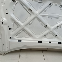 Капот на Haval Jolion 2021>
