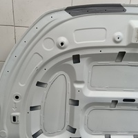 Капот на Geely Emgrand 2021>