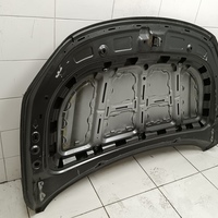 Капот на Geely Coolray 2019>