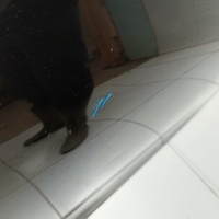 Дверь передняя правая на Nissan X-Trail T32 2014-2022