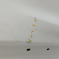 Дверь задняя правая на Ford Kuga 2 2012-2019