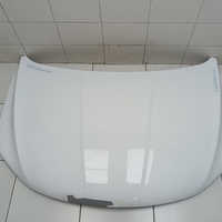 Капот на Belgee X50 2019> / Geely Coolray 2019>