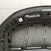Капот на Belgee X50 2019> / Geely Coolray 2019>