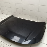 Капот на Exeed LX T1C 2019>