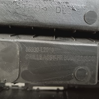 Решетка в бампер на Kia K5 2020>