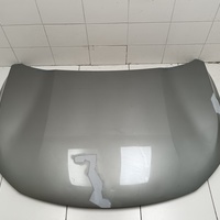Капот на Exeed TXL M32T 2020>