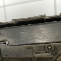 Решетка радиатора на Hyundai Creta 1 2016-2021