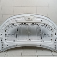 Капот на Belgee X50 2019> / Geely Coolray 2019>