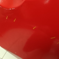 Дверь задняя правая на Kia Picanto 2017>