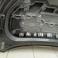 Капот на Exeed LX T1C 2019>