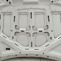 Капот на BMW X5 E70 2007-2013 / BMW X6 E71 2008-2014