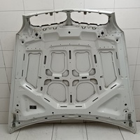 Капот на BMW X5 E70 2007-2013 / BMW X6 E71 2008-2014