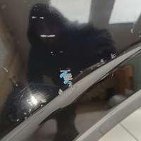 Крыло переднее левое на Belgee X50 2019> / Geely Coolray 2019>