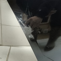 Дверь задняя правая на VW Polo (RUS) 2020> / Skoda Rapid 2 2020> / Skoda Rapid 1 2013-2020