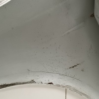 Крыло переднее правое на Ford Focus 3 2011-2019