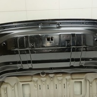 Капот на Toyota Land Cruiser 300 2021>
