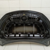 Капот на Exeed TXL M32T 2020>