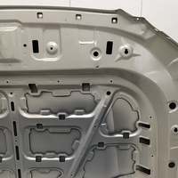 Капот на Tank 500 2022>