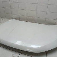 Капот на Haval Jolion 2021>