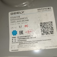 Панель задняя на Geely Coolray 2019>