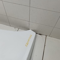 Капот на Chery Tiggo 7 Pro 2019>