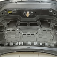 Капот на Exeed LX T1C 2019>