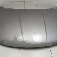 Капот на Geely Coolray 2019>