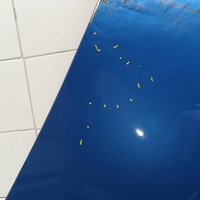 Крыло переднее правое на BMW 3-серия F30/F31 2011>