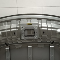 Капот на Exeed TXL M32T 2020>